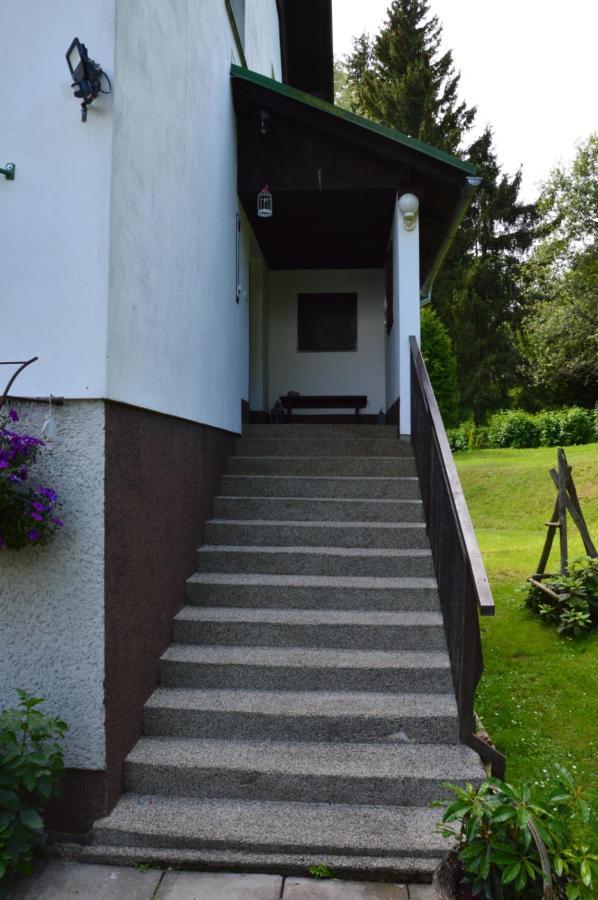 Horsky Apartman Pod Zelenou Strechou Bartosovice v Orlickych Horach Zewnętrze zdjęcie