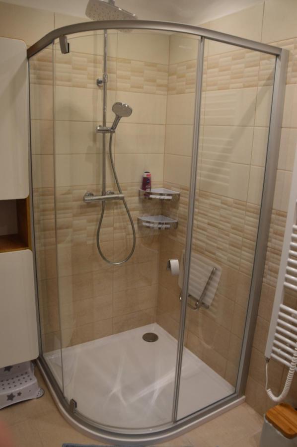 Horsky Apartman Pod Zelenou Strechou Bartosovice v Orlickych Horach Zewnętrze zdjęcie